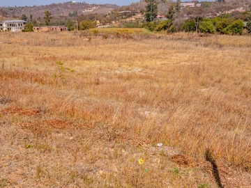 Commercial & Industrial Land