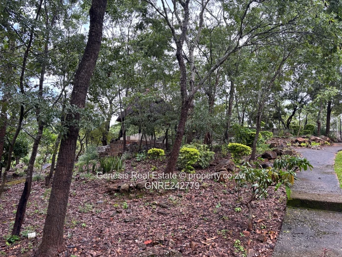 Elegant 4 bedroom home to rent