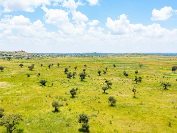 Commercial & Industrial Land