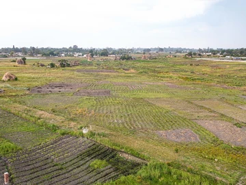 Commercial & Industrial Land