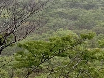 Magnificent land for sale in Juliasdale 