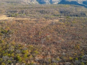 Commercial & Industrial Land