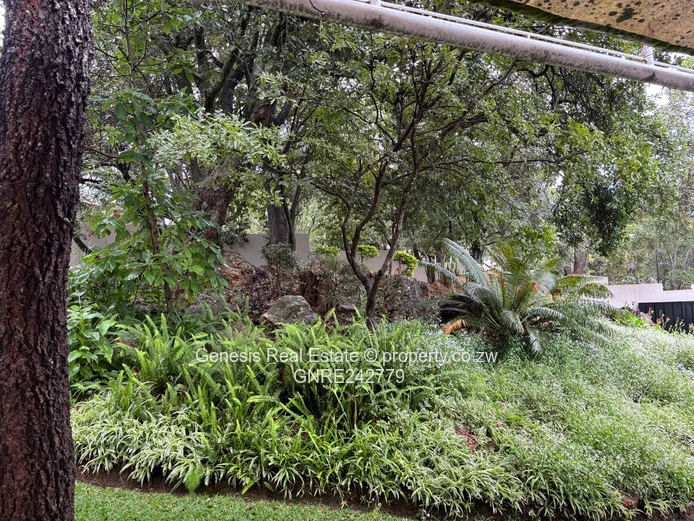 Elegant 4 bedroom home to rent