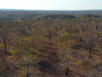 Commercial & Industrial Land